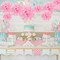 20 PCS Pink Tissue Paper Pom Poms, Tissue Pom Poms Flowers, Sizes of 6", 10", 12", 14" Hanging Paper Flower Ball for Wedding, Birthday, Valentine's Day, Baby Shower Party Decor